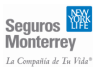 Seguros Monterrey NYL